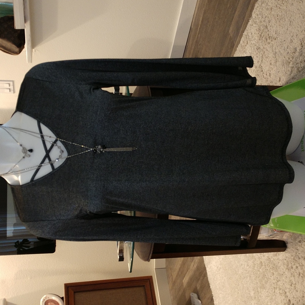 NWT Women's shinny holiday tunic with free necklace